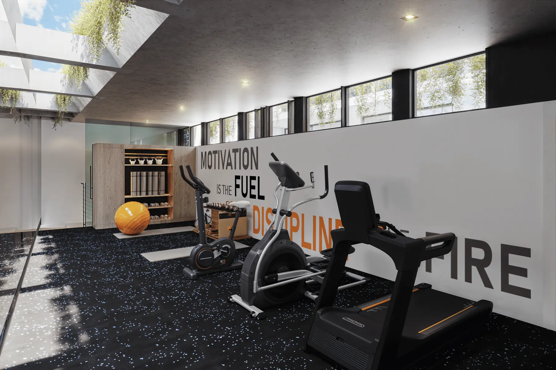 Gimnasio