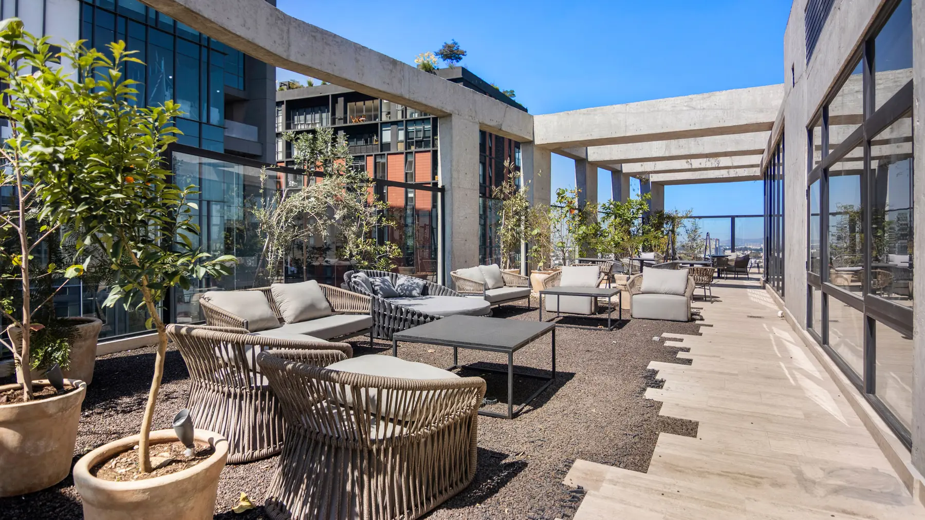 Roof garden con pérgolas