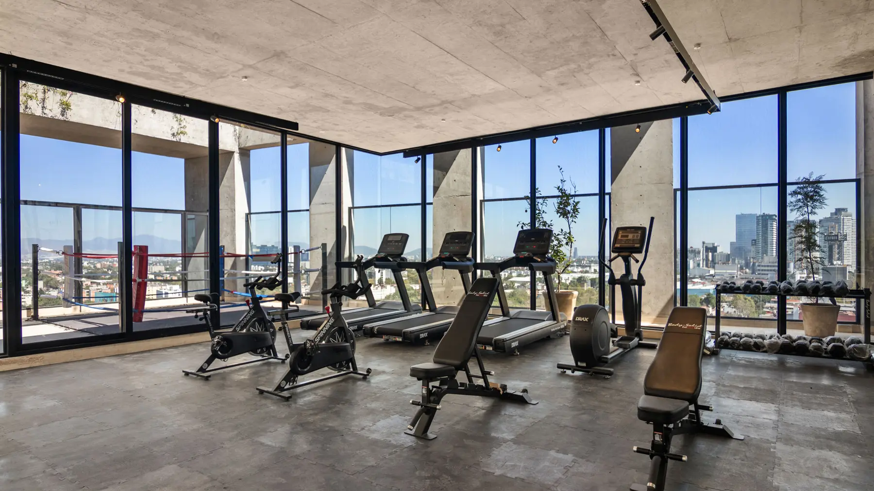 Gimnasio Cervantes 101