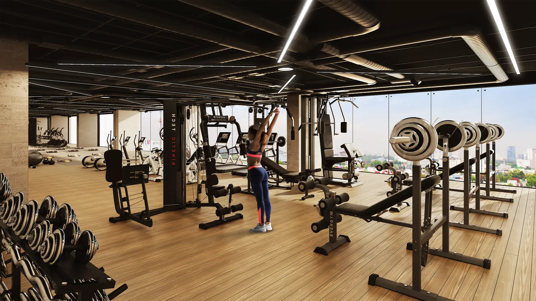 Gimnasio