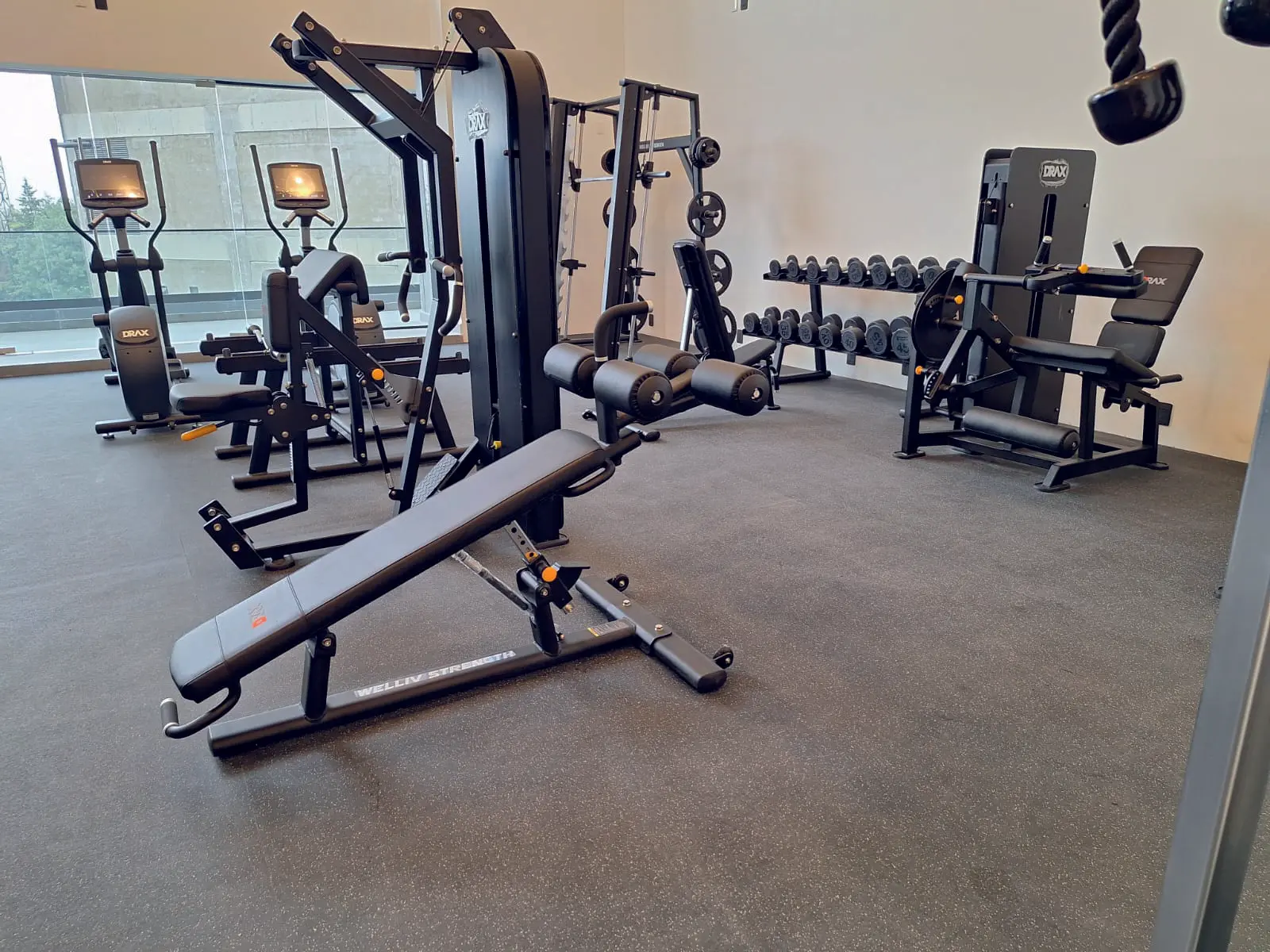Gimnasio